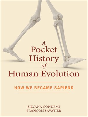 cover image of A Pocket History of Human Evolution
